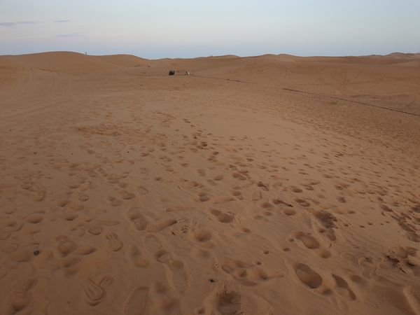 Searching for the Sahara Pt. 1
